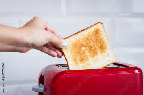Red toaster with toasted bread for breakfast inside. Hands Girl pulls out ready toasts.