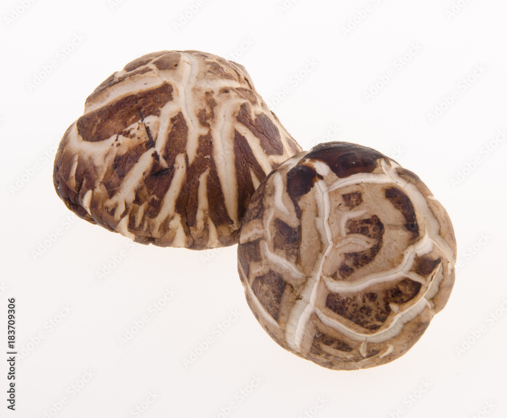 Dried mushroom closeup on background Dried mushroom closeup on background