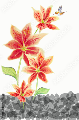 Greeting card with Lilly flowers.