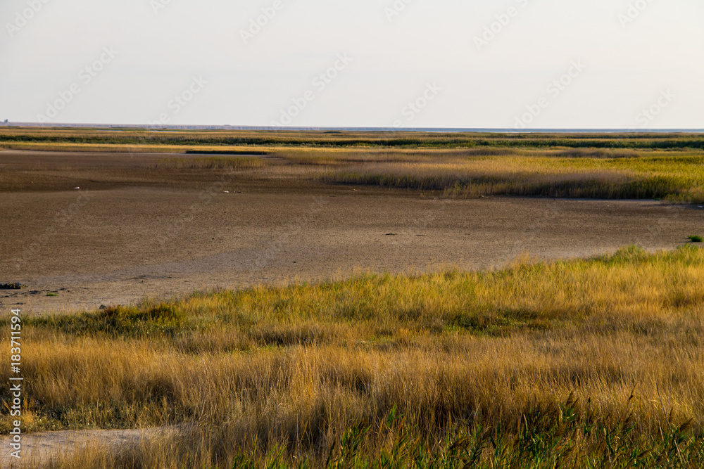 Fototapeta premium View on the Sivash lake, Ukraine