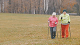 Training for elderly women in autumn park - nordic walking among autumn park