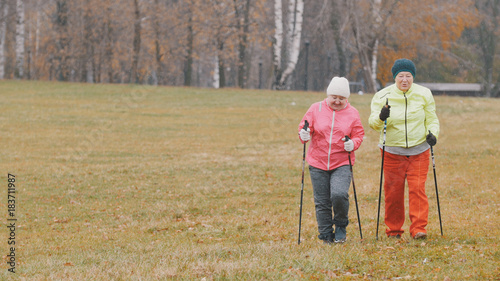 Training for elderly women in autumn park - nordic walking among autumn park © KONSTANTIN SHISHKIN