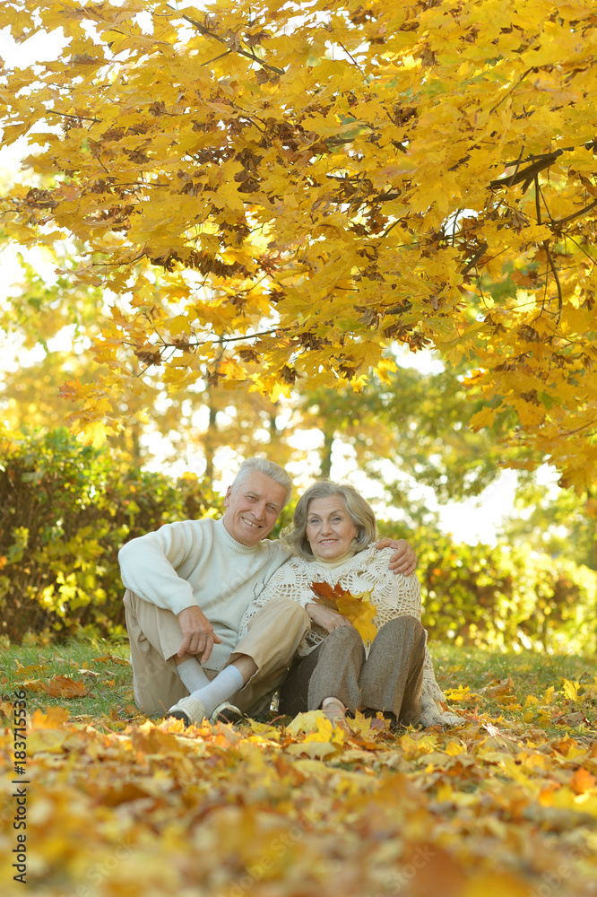 Fototapeta premium Senior couple relaxing in park