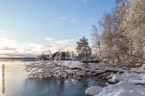 Beautiful view of snowy trees and frozen Lake Pyhäjärvi on a sunny day in the winter in Tampere, Finland. Copy space.