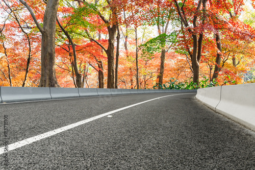 asfaltowa-droga-i-kolorowy-jesienny-las
