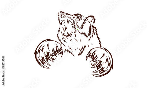 bear head logo animal