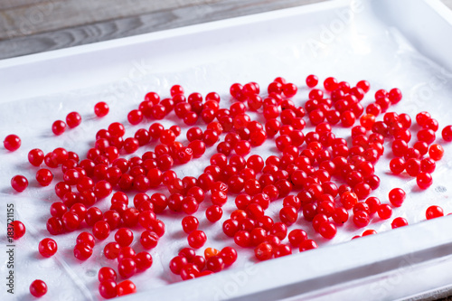 Frozen berries of viburnum in the freezer photo