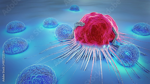 3d illustration of a cancer cell and lymphocytes photo