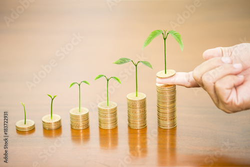 Man hand holding coin dollar with tree growing putting on money coin stack arranged as a graph on wooden table, concept of money growth and saving money