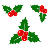 Holly Berry icon set. Christmas symbol. Xmas holiday decoration element. Vector illustration.