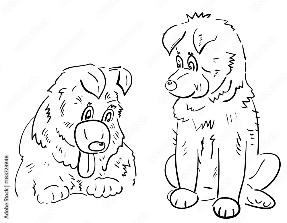 Obraz premium Two Caucasian Shepherd young dogs, fun, cute puppies, oriental symbol of New Year. Hand draw sketch, line art, outline on white background, vector illustration