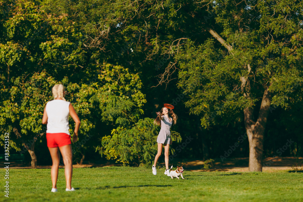 Mother and daughter throwing orange flying disk to small funny dog, which catching it on green grass. Little Jack Russel Terrier pet playing outdoors in park. Dog and women. Family resting on open air