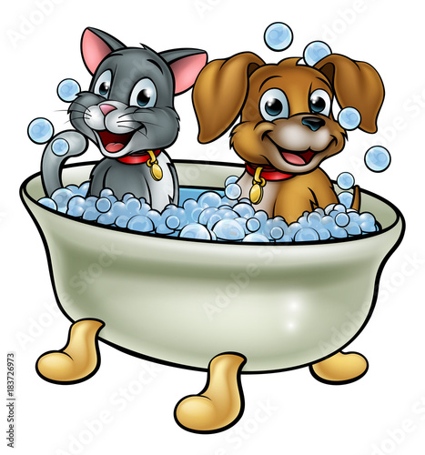 Cartoon Cat and Dog in Bath