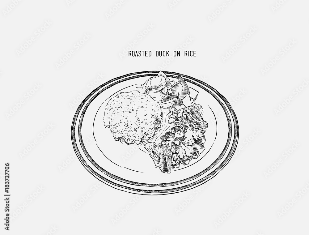 roasted duck with rice, Thai food, Chinese food. hand draw sketch vector.