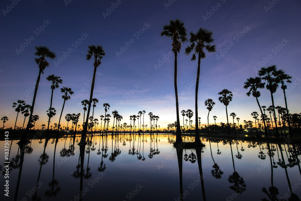 Obraz premium beautiful sunset reflection of silhouettes Palm tree , landscape thailand