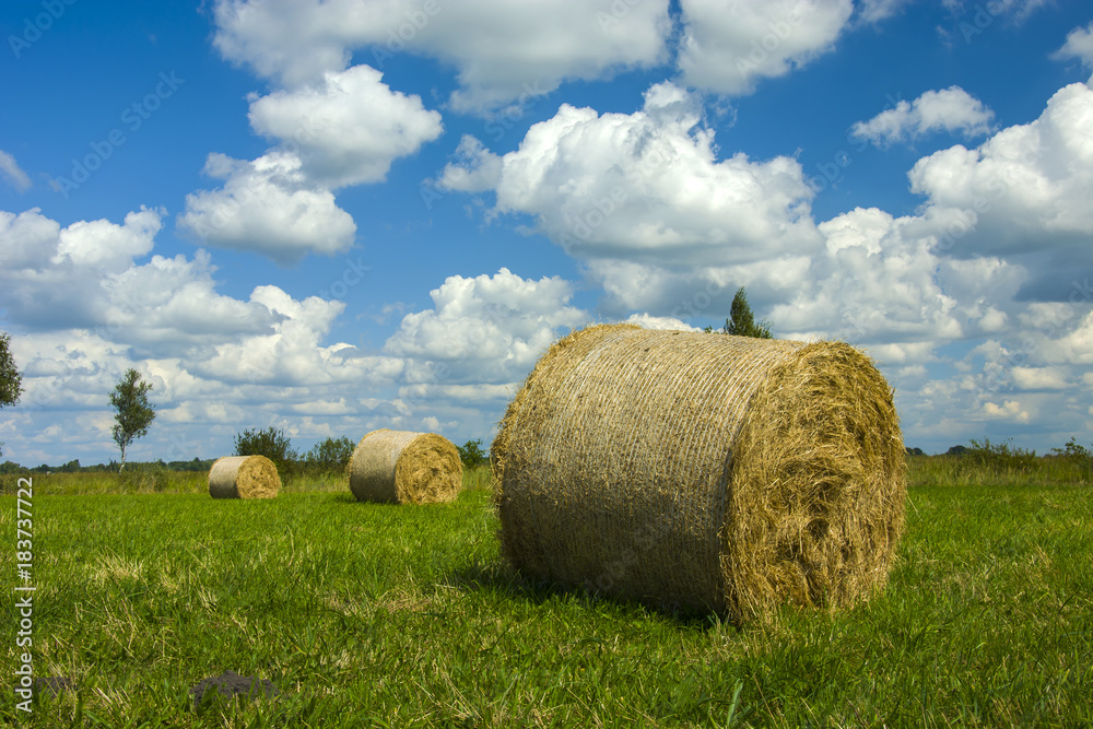 Round bales of hay on a green meadow
