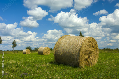 Round bales of hay on a green meadow