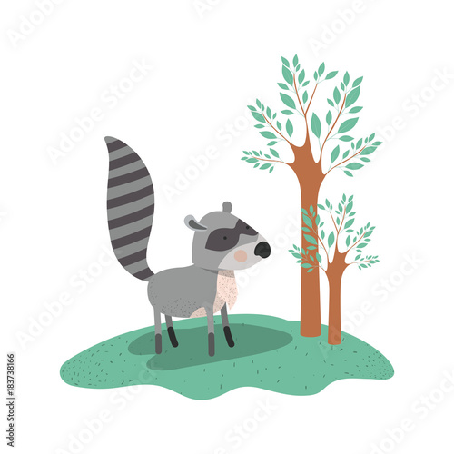 raccoon cartoon in forest next to the trees in colorful silhouette vector illustration