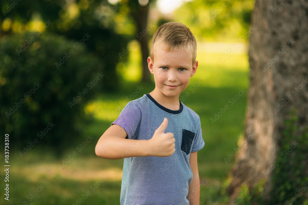 Handsome boy smiling and posing to the photographer. Joyful child walks the park. Sunny weather summer Handsome boy smiling and posing to the photographer. Joyful child walks the park. Sunny weather summer