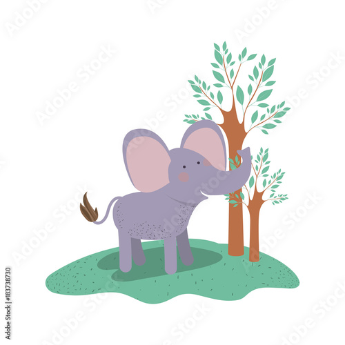 Fototapeta Naklejka Na Ścianę i Meble -  elephant cartoon in forest next to the trees in colorful silhouette vector illustration