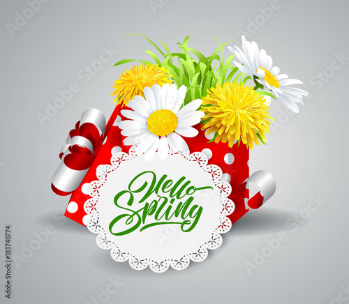 Fototapeta Naklejka Na Ścianę i Meble -  Inscription Spring Time on fresh spring background with grass, dandelions and daisies.