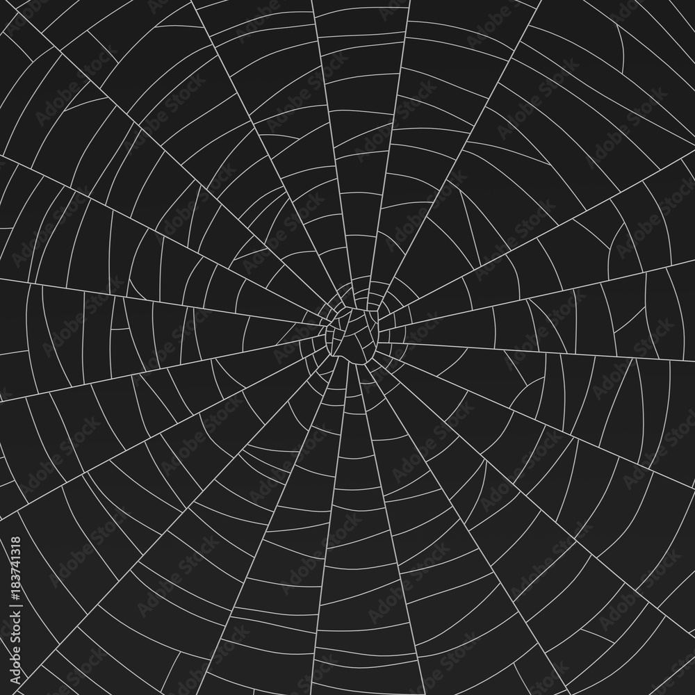 Obraz premium Realistic 3D Render of Cobweb