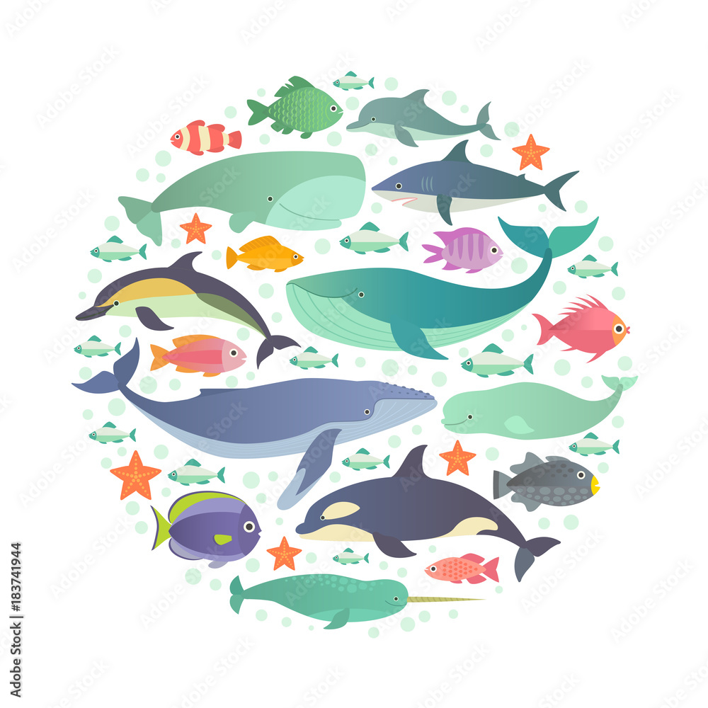 Marine creatures. Vector illustration of whales, dolphins and fish, such as narwhal, blue whale, dolphin, beluga whale, humpback whale, sperm whale and shark arranged in a circle. Isolated on white.