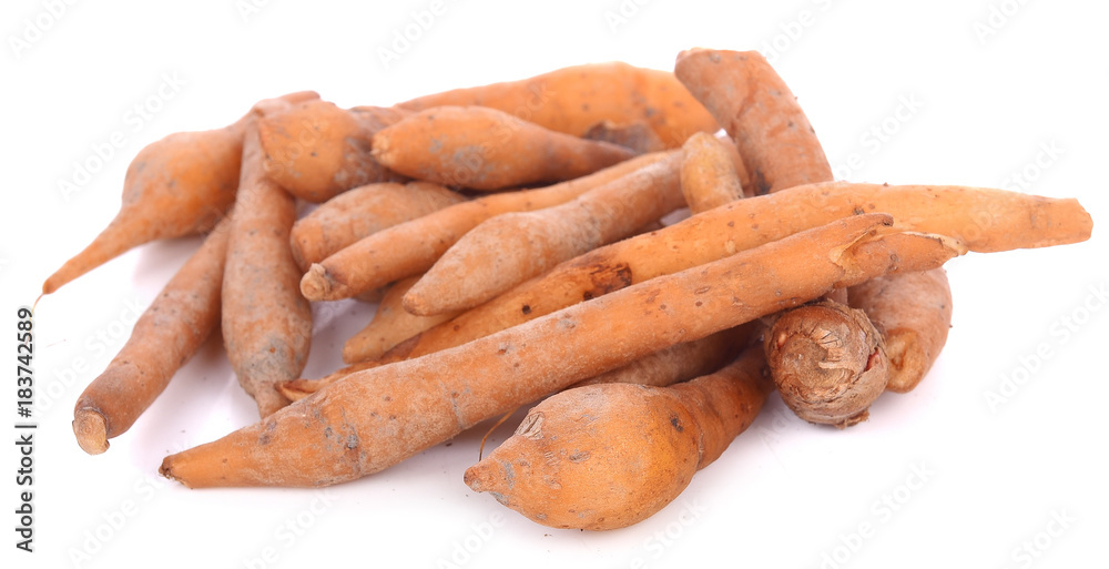 Fingerroot, Kaempfer, Boesenbergia isolated on white background Fingerroot, Kaempfer, Boesenbergia isolated on white background