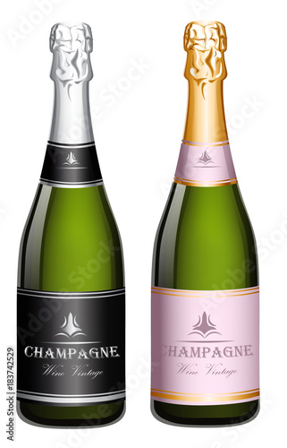 Two Bottles of Champagne