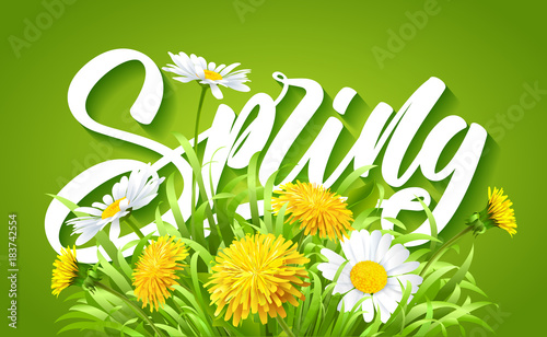 Fototapeta Naklejka Na Ścianę i Meble -  Inscription Spring Time on fresh spring background with grass, dandelions and daisies.