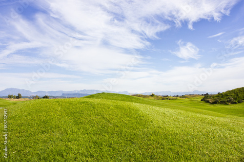 Fototapeta Naklejka Na Ścianę i Meble -  Golf course in Belek. Green grass on the field. Blue sky, sunny day