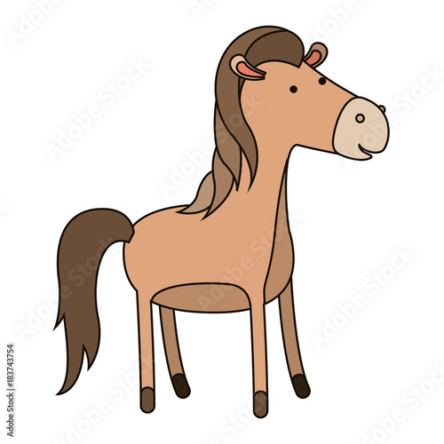 horse cartoon colorful silhouette in white background with thin contour vector illustration