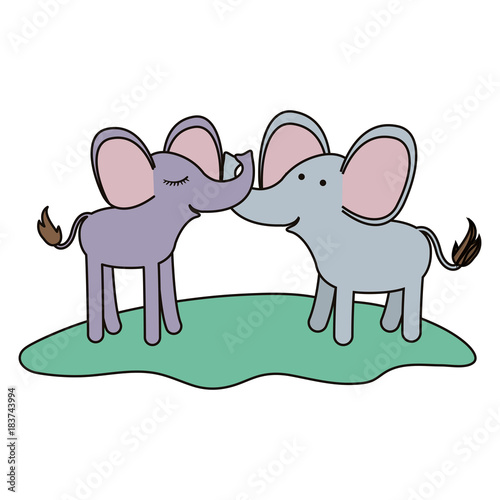 elephants couple over grass in colorful silhouette on white background vector illustration