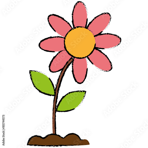 beautiful flower isolated icon vector illustration design