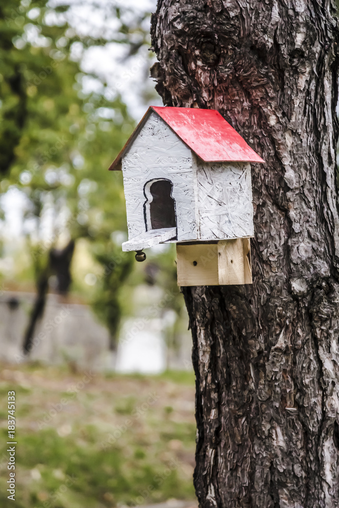 house for birds, red white birdhouse suspended from a tree house for birds, red white birdhouse suspended from a tree