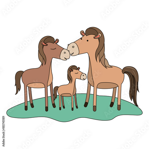 horses couple and foal over grass in colorful silhouette on white background vector illustration