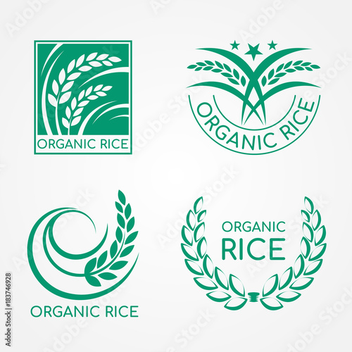 Green Organic Rice logo with paddy rice and leaf vector design