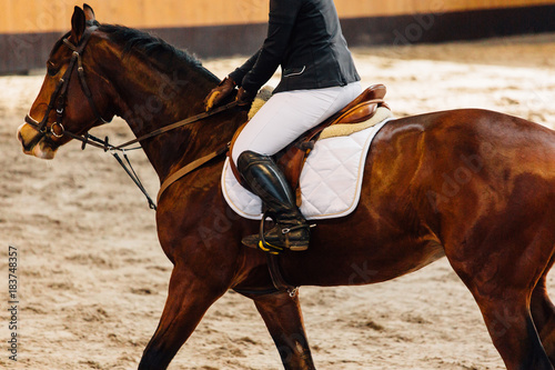 Fototapeta Naklejka Na Ścianę i Meble -  Horse jumping contest. The Equestrian Sports. Horseman sitting in saddle