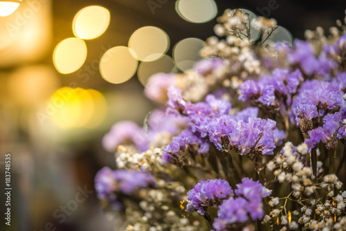Dried flowers with lights bokeh background