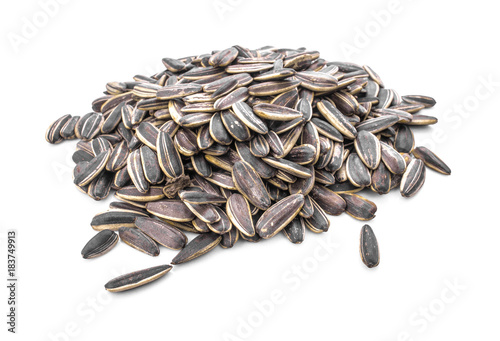  Sun flower seed seeds isolated on white background