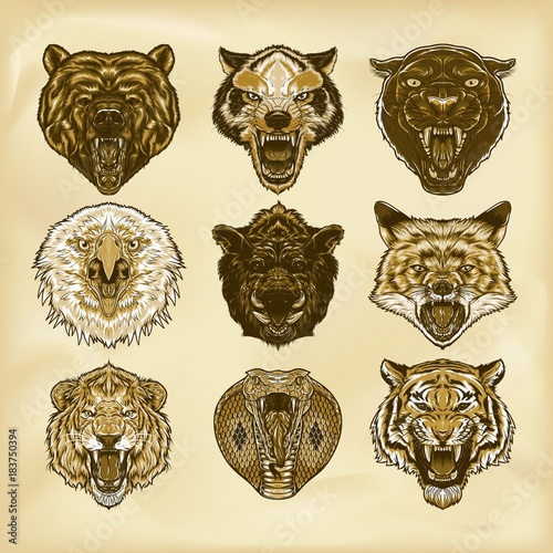 Illustrated set of wild animals