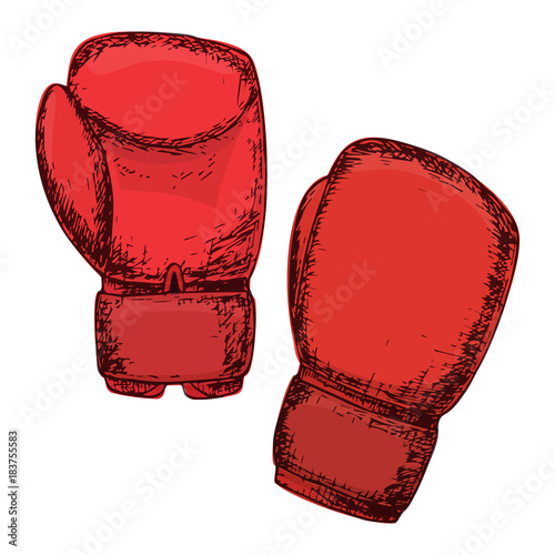 Boxing gloves, cartoon illustration of gym equipment for home exercise. Vector