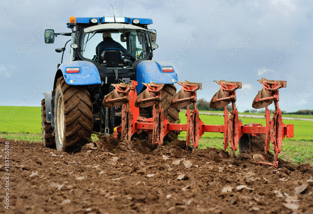 Obraz premium labours d'automne