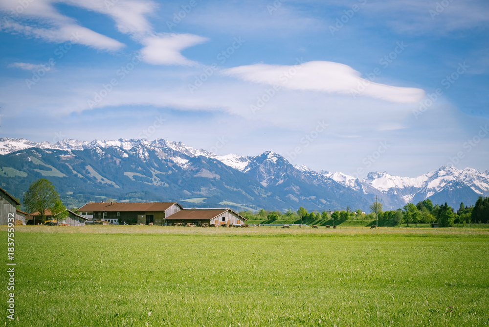 Landwirtschaft im Allgäu, Wiese mit Bauernhof im Hintergrund