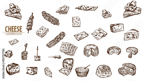 Digital vector detailed line art sliced cheese