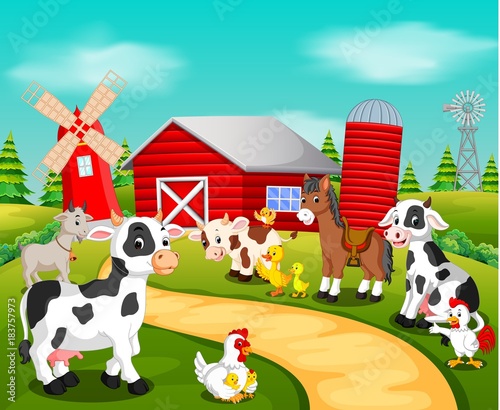Collection animal in the farm