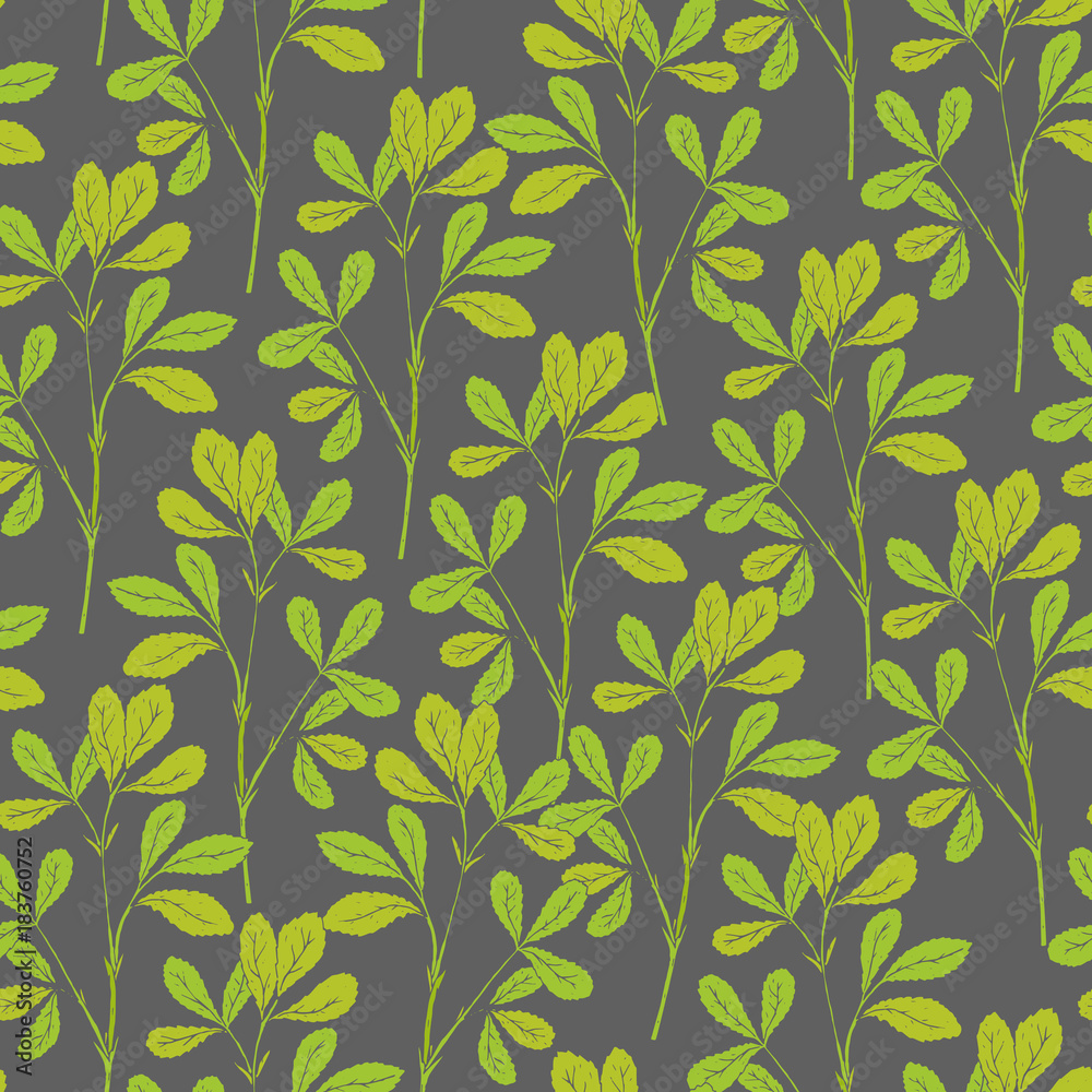 Fototapeta premium Botanical seamless pattern with fenugreek stems and leaves on gray background. Natural backdrop with green plants hand drawn in antique style. Vector illustration for wallpaper, textile print.