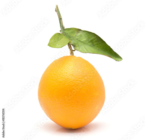 One fresh orange with green leaf isolated on white background. photo