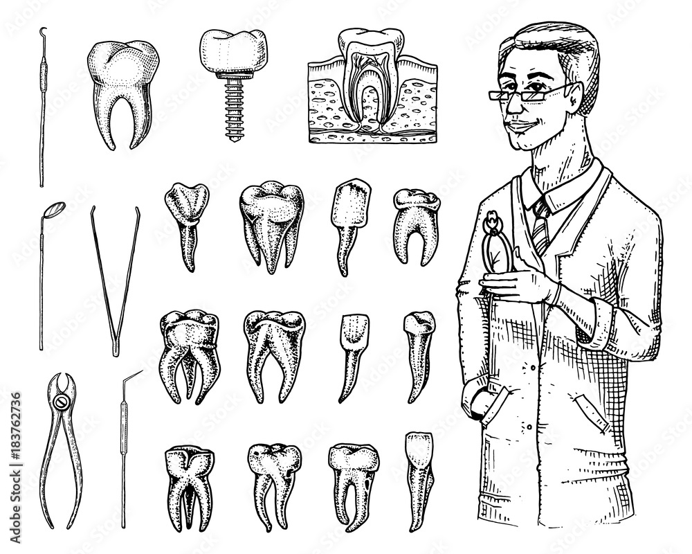 Sketch Icons with Dentistry and Dental Symbols Stock Vector  Illustration  of health dentist 63756617
