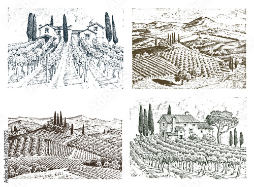 rustic vineyard. rural landscape with houses. solar tuscany background. fields and cypress trees. harvesting and haystacks. engraved hand drawn in old sketch and vintage style for label.